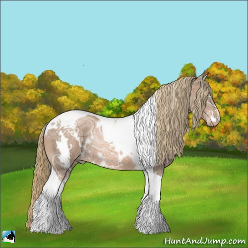 Horse Color:White Spotted Liver Chestnut Ice Pearl Tobiano Rabicano 