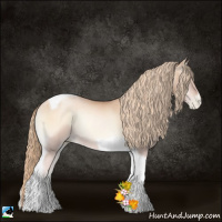 Horse Color:Gold Champagne Pearl Onyx Tobiano Rabicano 