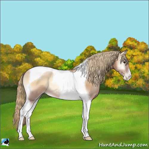 Horse Color:Red Onyx Pearl Tobiano 