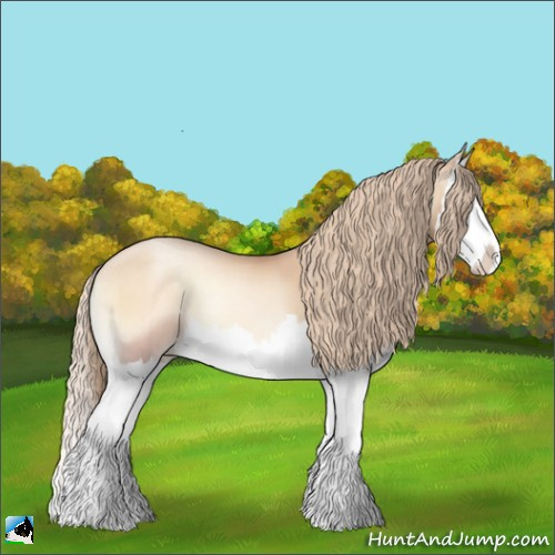 Horse Color:Gold Champagne Pearl Onyx Splash 