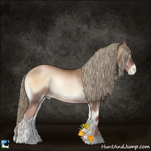 Horse Color:Liver Red Onyx Pearl Rabicano 