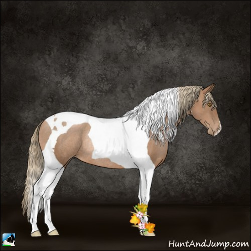 Horse Color:Liver Chestnut Pearl Tobiano Rabicano