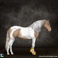 Horse Color:Liver Chestnut Pearl Tobiano Rabicano 