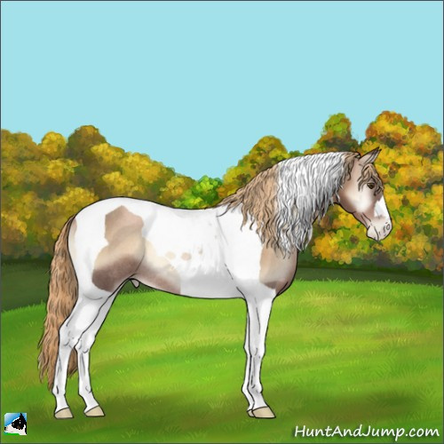 Horse Color:Liver Red Onyx Pearl Tobiano Rabicano 