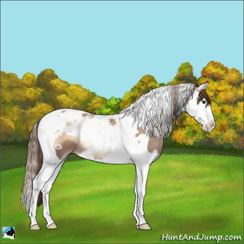 Horse Color:Liver Red Onyx Pearl Splash Tobiano 