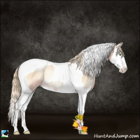 Horse Color:Gold Champagne Pearl Onyx Splash Tobiano Rabicano 