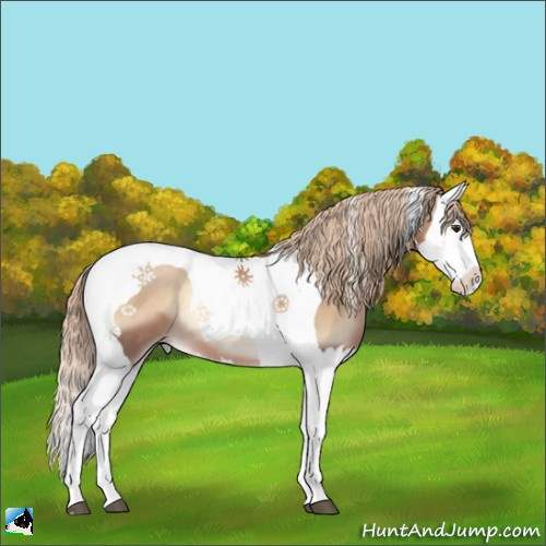 Horse Color:Liver Red Onyx Pearl Splash Tobiano 