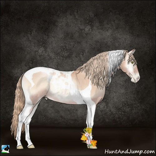 Horse Color:Gold Champagne Pearl Onyx Tobiano Rabicano 