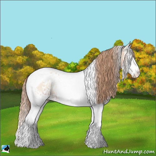 Horse Color:White Spotted Gold Champagne Pearl Onyx Splash Tobiano 