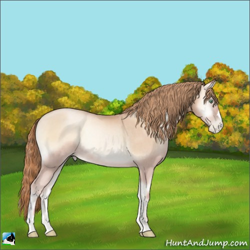 Horse Color:Gold Champagne Pearl Onyx Rabicano 