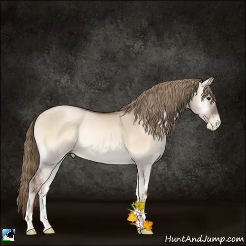 Horse Color:Liver Red Dun Pearl Onyx Rabicano 