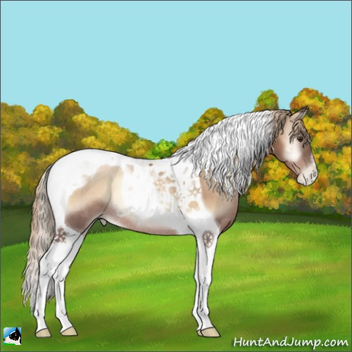 Horse Color:Liver Red Onyx Pearl Tobiano Rabicano 