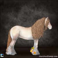 Horse Color:Gold Champagne Pearl Onyx Tobiano Rabicano