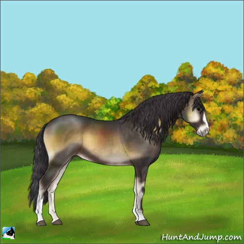 Horse Color:Smoky Blue Onyx Sabino 