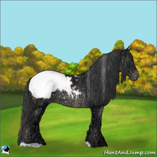 Horse Color:Black Ice Mushroom Appaloosa 
