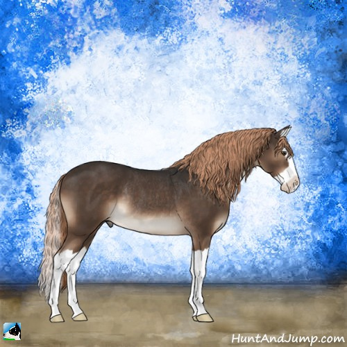 Horse Color:Liver Chestnut Splash Rabicano 