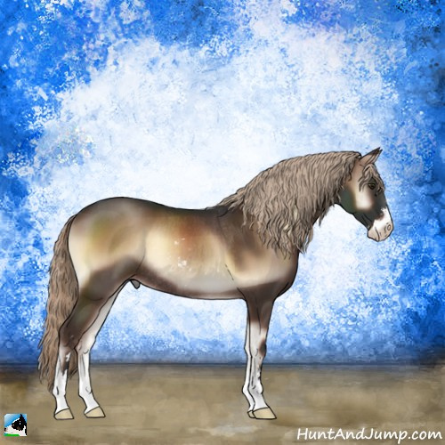 Horse Color:Liver Red Onyx Sabino Rabicano 