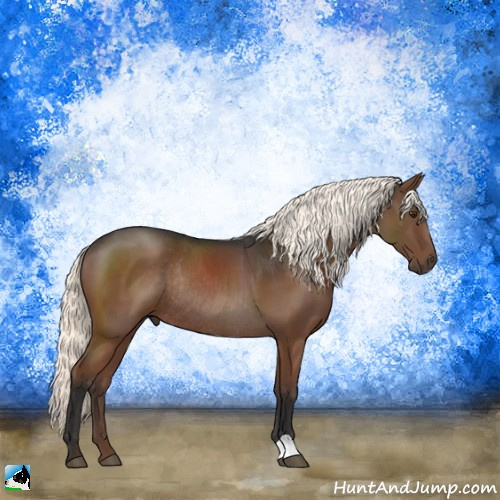 Horse Color:Liver Chestnut Mushroom Rabicano 