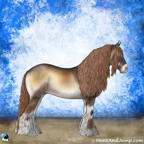 Horse Color:Liver Red Onyx Sabino Rabicano 