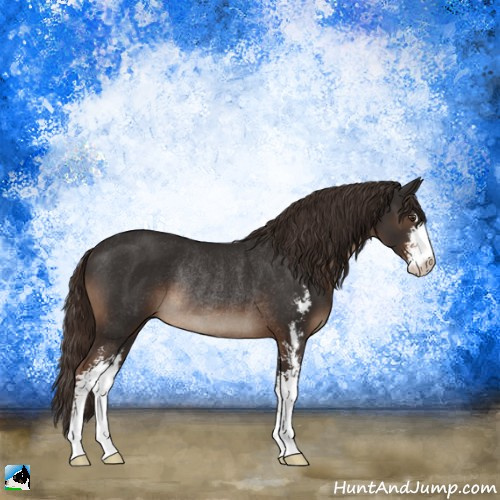 Horse Color:Liver Chestnut Sabino Rabicano 