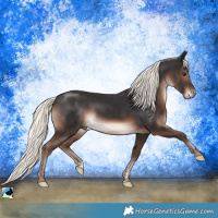 Horse Color:Liver Chestnut Mushroom Rabicano 