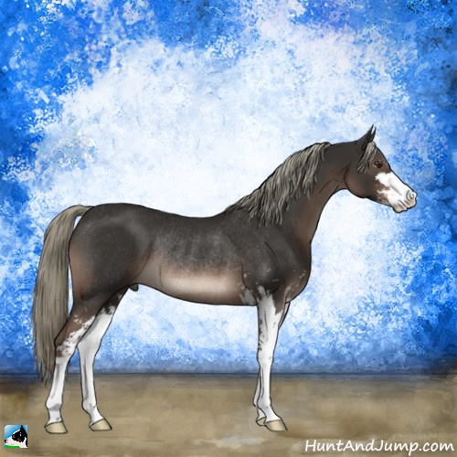 Horse Color:Liver Chestnut Mushroom Sabino Rabicano 