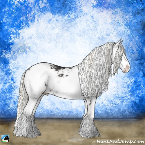 Horse Color:Liver Chestnut Mushroom Sabino Rabicano 