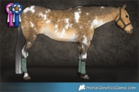 Horse Color:White Spotted Buckskin Dun Rabicano 