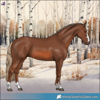 Horse Color:Chestnut 