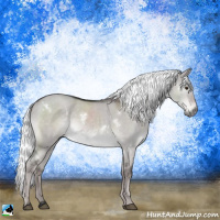 Horse Color:Platinum White Spotted Liver Red Dun Mushroom Rabicano 