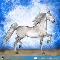 Horse Color:Gray Platinum White Spotted Chocolate Palomino Dun Mushroom Rabicano