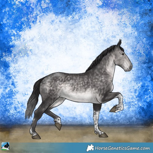 Horse Color:Platinum Buckskin Tobiano Rabicano