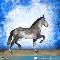 Horse Color:Platinum Buckskin Tobiano Rabicano 