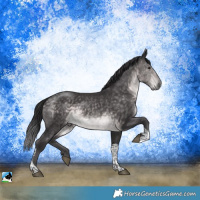 Horse Color:Platinum Buckskin Tobiano Rabicano