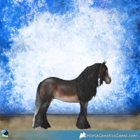 Horse Color:Brown Sabino 