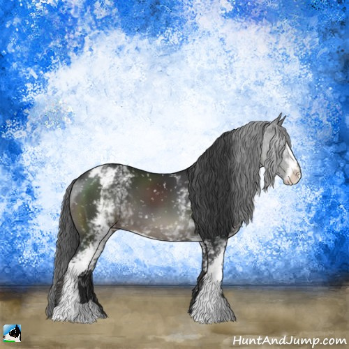 Horse Color:White Spotted Black Sabino Appaloosa 