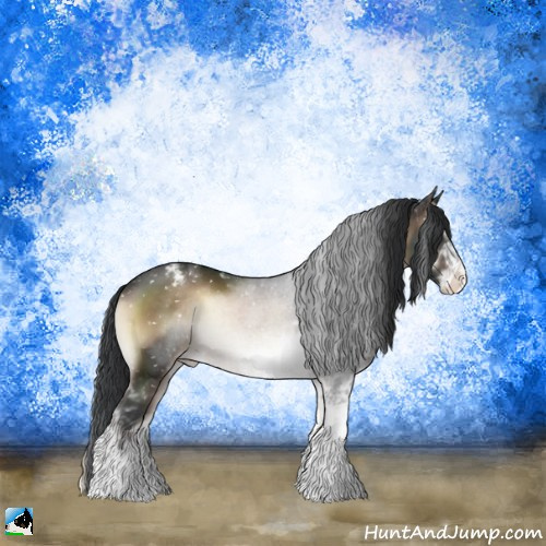 Horse Color:Brown Onyx Sabino Appaloosa Rabicano 