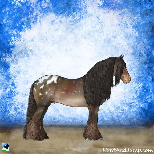 Horse Color:Liver Chestnut Appaloosa 