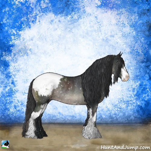 Horse Color:Black Sabino Appaloosa Rabicano 