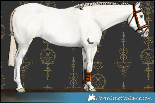 Horse Color:Buckskin Roan Pearl  and Buckskin Roan Pearl Splash 