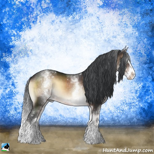 Horse Color:White Spotted Brown Onyx Sabino Splash 