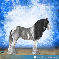 Horse Color:Bay Ice Sabino Tobiano Rabicano 