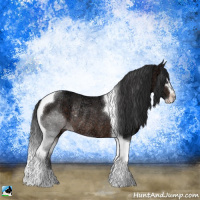 Horse Color:Bay Ice Sabino Tobiano Rabicano 