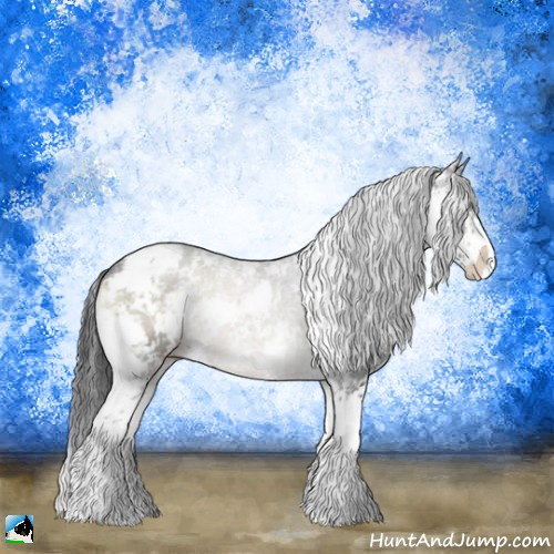 Horse Color:Blue Onyx Sabino 