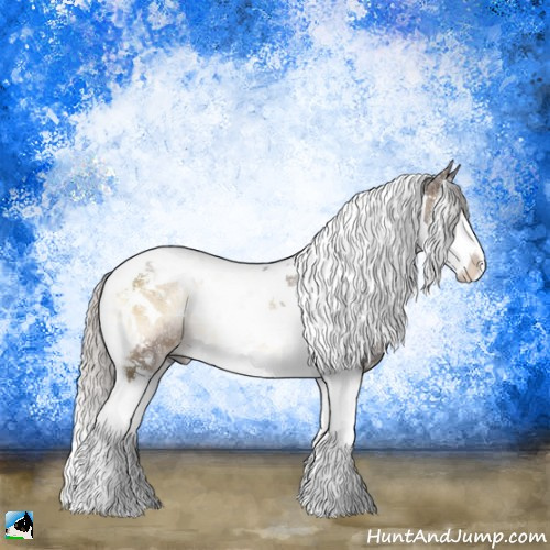Horse Color:Silver Bay Onyx Splash Tobiano Rabicano 