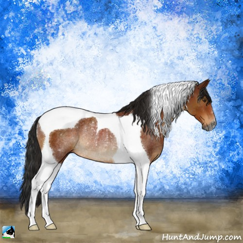 Horse Color:Gray Brown Tobiano Rabicano 