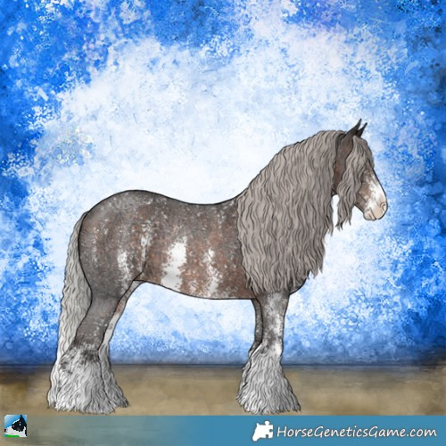 Horse Color:Silver Brown Ice Sabino Rabicano 