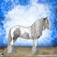 Horse Color:Silver Brown Ice Tobiano Rabicano 