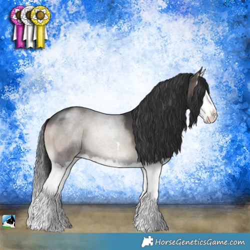 Horse Color:Blue Onyx Splash 
