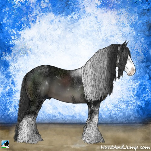 Horse Color:Black Ice Sabino 